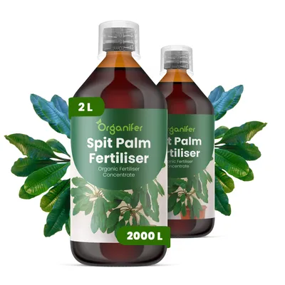 Produktbild von Spitpalmen Flüssigdünger 2x1L – 2-1-8 NPK – Flüssig-Pflanzendünger für Spitpalmen – Organifer