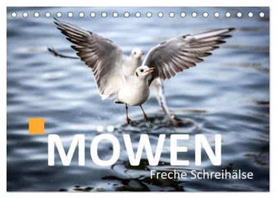 Produktbild von MÖWEN Freche Schreihälse (Tischkalender 2027 DIN A5 quer), CALVENDO Monatskalender