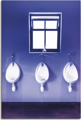 Produktbild von ARTland Leinwandbild Toilette Größe: 40x60 cm