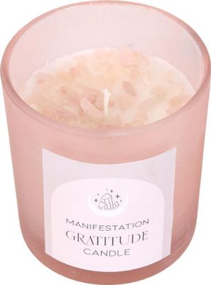 Something Different - vonná svíčka "Gratitude", divoká růže SD5383 (jedna velikost) (Pink/Matt)