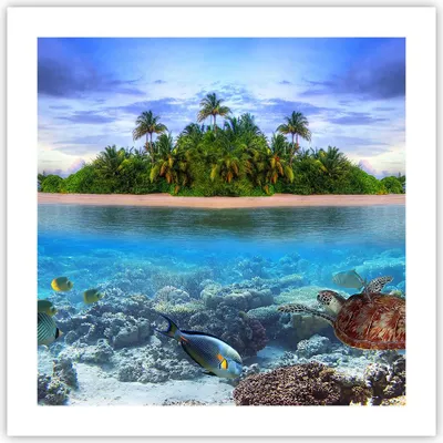Produktbild von Poster - Poster ohne Rahmen - Strand lagune wasser ozean - 50x50 cm - Wand Bild - Wanddeko - Wandbilder - Kunstposter - Wandposter - Bilder - Kunstdruck - Wanddekoration - Wandbild - P2XAC50x50-2686