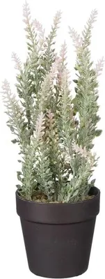 Produktbild von Mica künstlicher Lavendel im Topf rosa 24 x 10 cm