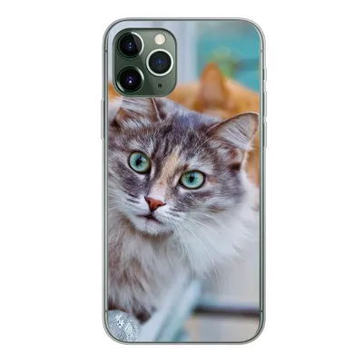 Produktbild von MuchoWow® Handyhülle Schutzhülle Hülle für iPhone 11 Pro Katze - Fenster - Katzen Silikon Softcase Handy Hülle - Handy