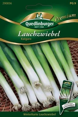 Produktbild von Lauchzwiebel 'Kaigaro' Quedlinburger Gemüsesamen