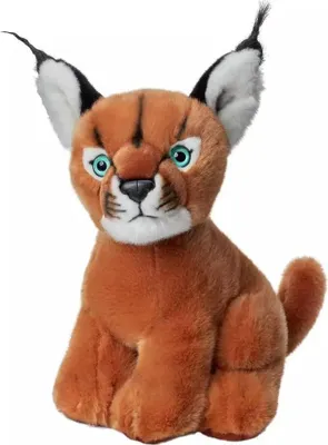 Immagine prodotto di Caracal peluche 30 cm - (giocattoli, peluche)