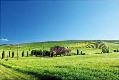 Produktbild von Wallario Poster - Farm in der Toskana, Kunstdruck Größe: 61 x 91,50 cm