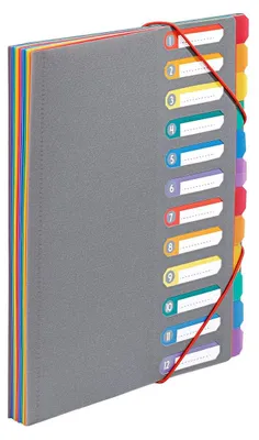 Imagen del producto de Viquel - Archivador de escritorio A4 con 12 compartimentos – organizador de escritorio extraíble