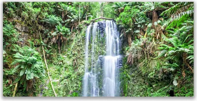 Produktbild von Acrylglasbilder 120x60 Wandbild Druck Wasserfall Bäume Natur