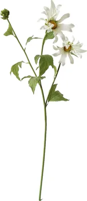 Produktbild von Frühlingsblume 74 cm Kunstblume Flora