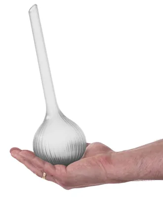Image de Boules d'arrosage pour plantes - Arrosage automatique - Contenance de 0,4 l - Arrosage goutte à goutte - Plastique - Lot de 10 - Noir