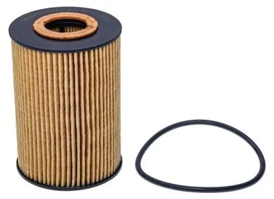 Image de EBG Filtre d'huile de lubrification Renault Nissan 1520900QAC