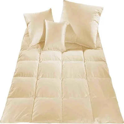Obrázek produktu pro Přikrývka poloprachové peří - 140x200 1500g krémová sypka