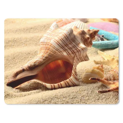 Produktbild von MuchoWow® Mauspad Mousepad Seesterne - Muscheln - Sand - Strand 23x19 cm - Mousepads - Maus Mat - Pad - Mausunterlage - Schreibtischunterlage - Mauspad