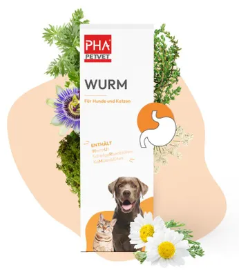Produktbild von PHA WURM für Hunde u. Katzen 50 ml