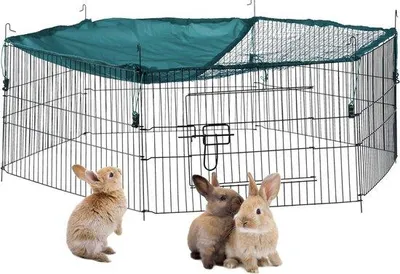 Produktbild von Famanu Auslaufgehege für Kaninchen und Nager - Ø 110 cm, grün