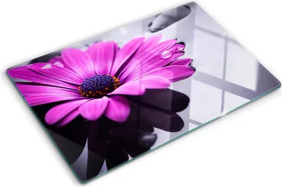 Produktbild von Tulup Glas Herdabdeckplatte - 80x52 cm - Glaskeramikkochfeld-Abdeckung Spritzschutz Glasabdeckplatte - Einteilig - Blumen & Pflanzen - Gerbera - Rosa