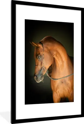 Produktbild von MuchoWow® MuchoWow® Gerahmtes Poster Pferd - Braun - Schwarz 60x90 cm - Poster mit zchwarzem Bilderrahmen - Dekoration - Wandposter Wohnzimmer - Hochwertig