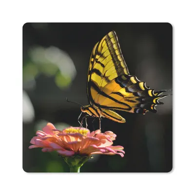 Produktbild von MuchoWow® Mauspad Mousepad Schmetterling - Botanisch - Blume 20x20 cm - Mousepads - Maus Mat - Pad - Mausunterlage - Desk Mat - Bureauartikeln