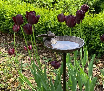Produktbild von Vogeltränke Gartenstecker Vogelbad mit Stab Futterstation Antik-Stil 100cm