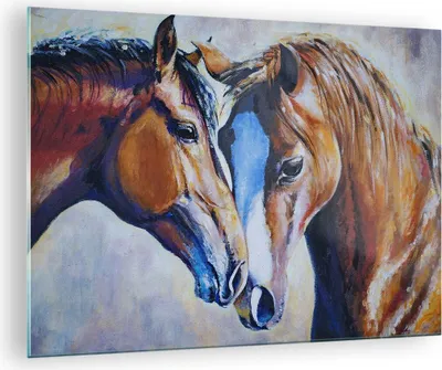 Produktbild von Bilder auf glas - Pferd Tier Bindung - 70x50cm - Glasbilder - Wandbilder - Kunstdruck - zum Aufhängen bereit - Wanddekoration aus Glas - Glas Bilder - Wandbild auf Glas - Einteilig - GAA70x50-3526