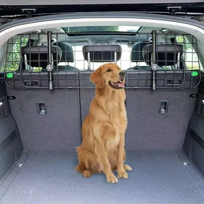Produktbild von Hundegitter für Auto – für Dacia Duster ab Baujahr 2018