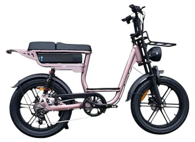 Imagen del producto de V20 Comfort - Fatbike eléctrica con candado de cadena - 20 pulgadas - Motor 250W - Autonomía 60 km - 7 velocidades - Frenos de disco hidráulicos - Batería 720Wh - Cuadro bajo - Roségoud