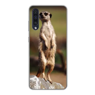 Produktbild von MuchoWow® Handyhülle Schutzhülle Hülle für Samsung Galaxy A30s Erdmännchen - Tier - Spiel Silikon Softcase Handy Hülle - Karteninhaber