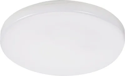 Productafbeelding van LED plafondlamp rond, Duno Pro, wit, 15W, trale wit licht, 1500lm, kunststof, afmetingen: 4,5x22x22cm, IP54, Miledo