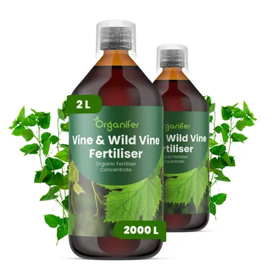 Obrázok produktu pre Tekuté hnojivo pre vinič 2x1 L – vzorec NPK 2-1-8 – vhodné pre vinič – podporuje silný rast, tvorbu kvetov a stabilnú úrodu – značka Organifer