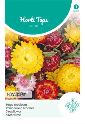 Produktbild von Strohblume Monstrosum Gefüllte Mischung | Blumensamen von Hortitops