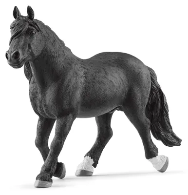 Zdjęcie produktu dla schleich 13958, 3 lat(a), Horses, Czarny, Plastik