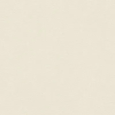 Produktbild von A.S. Creation | Terra | 389251 | Vliestapete | Einfarbig | 10.05 x 0.53 m | Creme | Wohnzimmer | Flur | Büro | Küche | Wohnräume