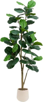 Image de Plante artificielle de 180 cm avec pot blanc, pour l'intérieur et l'extérieur