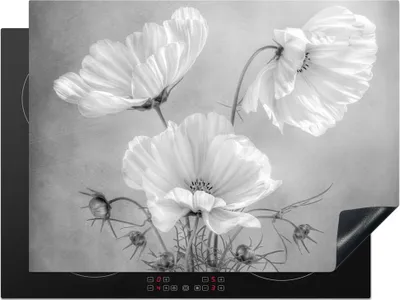 Produktbild von KitchenYeah© Herdabdeckplatte Stilleben - Blumen - Schwarz und weiß - Mohn - Botanisch , 71x52cm, Küche Deko, Glaskeramikkochfeld Herdabdeckung, Abdeckplatte fùr Kochfeld