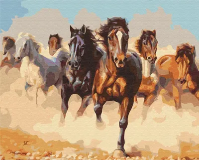 Produktbild von Pampicio Malset Pferde Malen nach Zahlen 40x50 cm