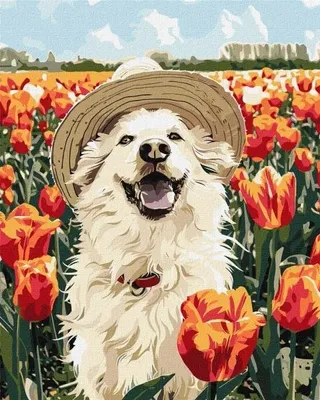 Image de Peinture par numéros - Labrador joyeux 40 x 50 cm - Ideyka