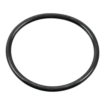 Produktbild von FEBI BILSTEIN Dichtring 100165 passend für MERCEDES-BENZ C-Klasse Limousine (W204) 3mm FPM (Fluor-Kautschuk) 45mm 0,002kg