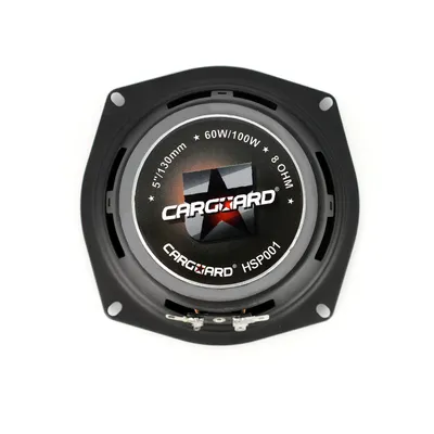 Obrázok produktu pre Reproduktor HSP 001 - 5" (130 mm), 60 / 100 W, 8 ohm