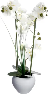 Obrázek produktu pro Umělá orchidej v keramickém hrnci, vkusné květinové uspořádání pro domácí dekoraci