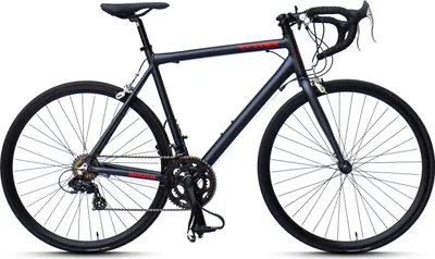 Produktbild von WYNN Rennrad 28 Zoll ROD1.0 schwarz Rahmenhöhe 55 cm Damen Herren 14 Gänge