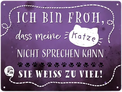 Produktbild von Metallschild XXL in 28x38 cm mit lustigem Spruch - Meine Katze weiß zu viel