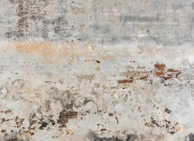 Produktbild von Fototapete alte Mauer | Used Look Tapete mit Steinwand im Industrial Style | Flur und Küchen Fototapete im Industrie Loo