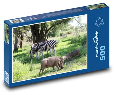 Zdjęcie produktu dla martinpuzzle - Puzzle 500 - Zwierzęta - safari