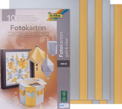 Imagen del producto de folia 611 folia Fotokartonblock, DIN A4, 300 g/qm, gold und silber
