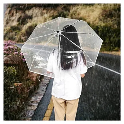 Produktbild von Transparenter Regenschirm - Durchsichtig, Automatisch, Tragbar, Modisch, Dreifach Faltbar für den Außenbereich