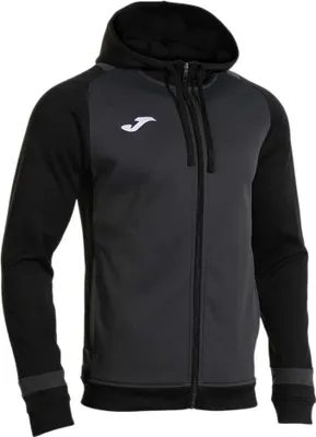 Productafbeelding van Joma Lider hoodie, zwart, maat L, voor heren, kleur zwart, maat L