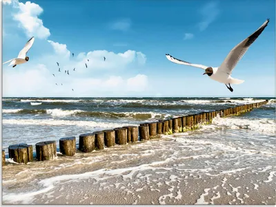 Produktbild von ARTland Glasbild Ostsee Größe: 60x45 cm