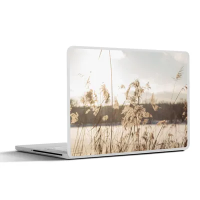 Produktbild von MuchoWow® Laptop Aufkleber Sticker Cover Wasser - Pampasgras - Pflanzen 36.5x27.5 cm - Laptop-Sticker