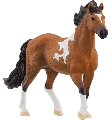 Immagine prodotto di Schleich Horse Club 13978 Mangalarga Marchador Stallone