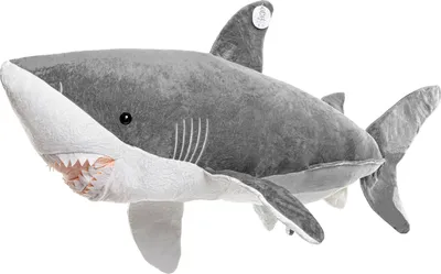A plush toy shark against a white background.